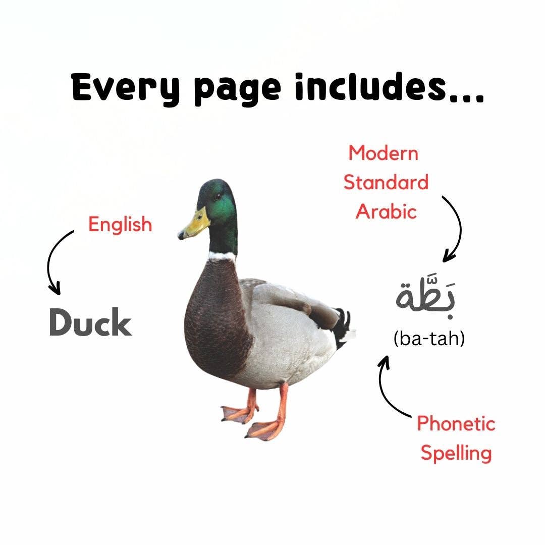 My First 100 Arabic Words