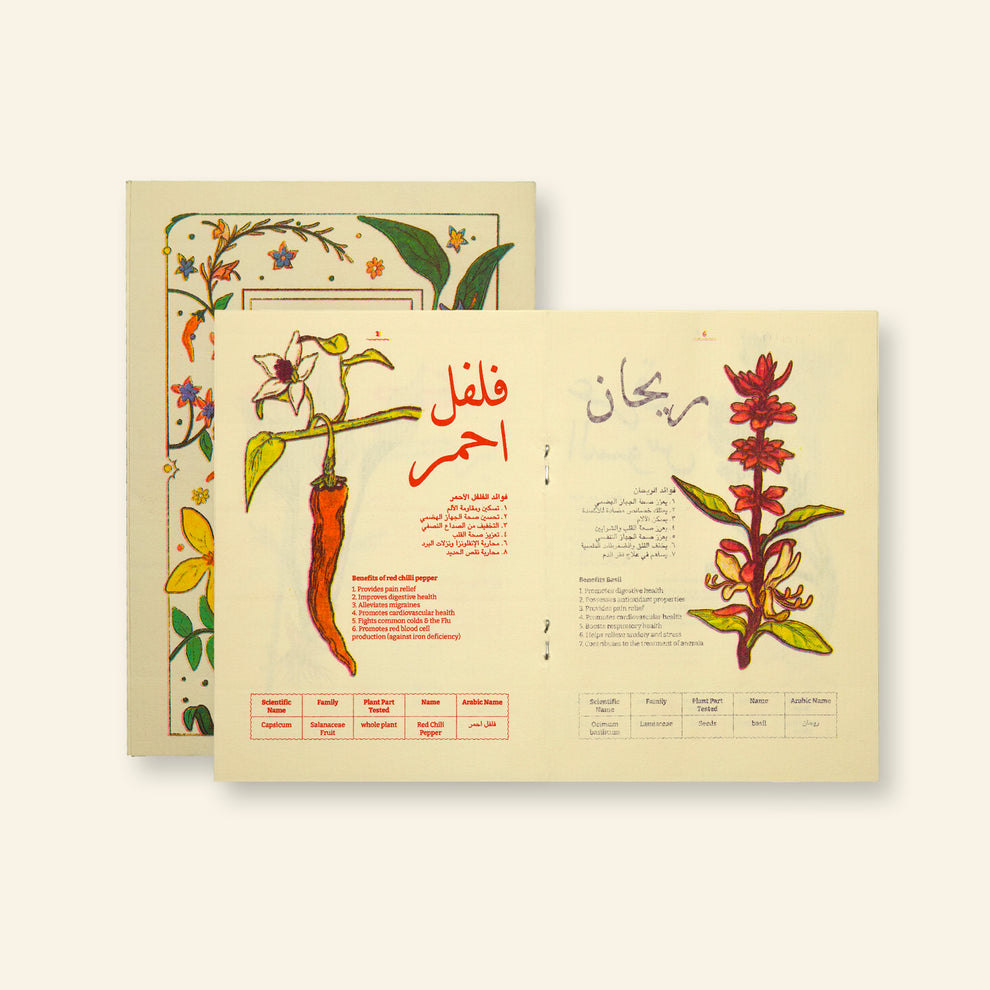 Herbs and Spices Zine