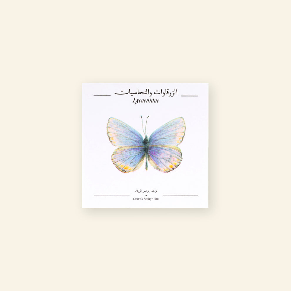 Grave's Zephyr Blue Butterfly - Square Poster