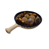 Assorted Dates Plate (Palestinian Pottery)